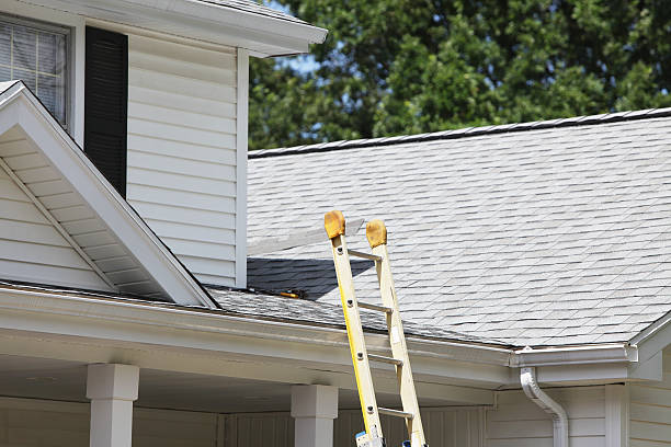 Professional Siding in Sartell, MN